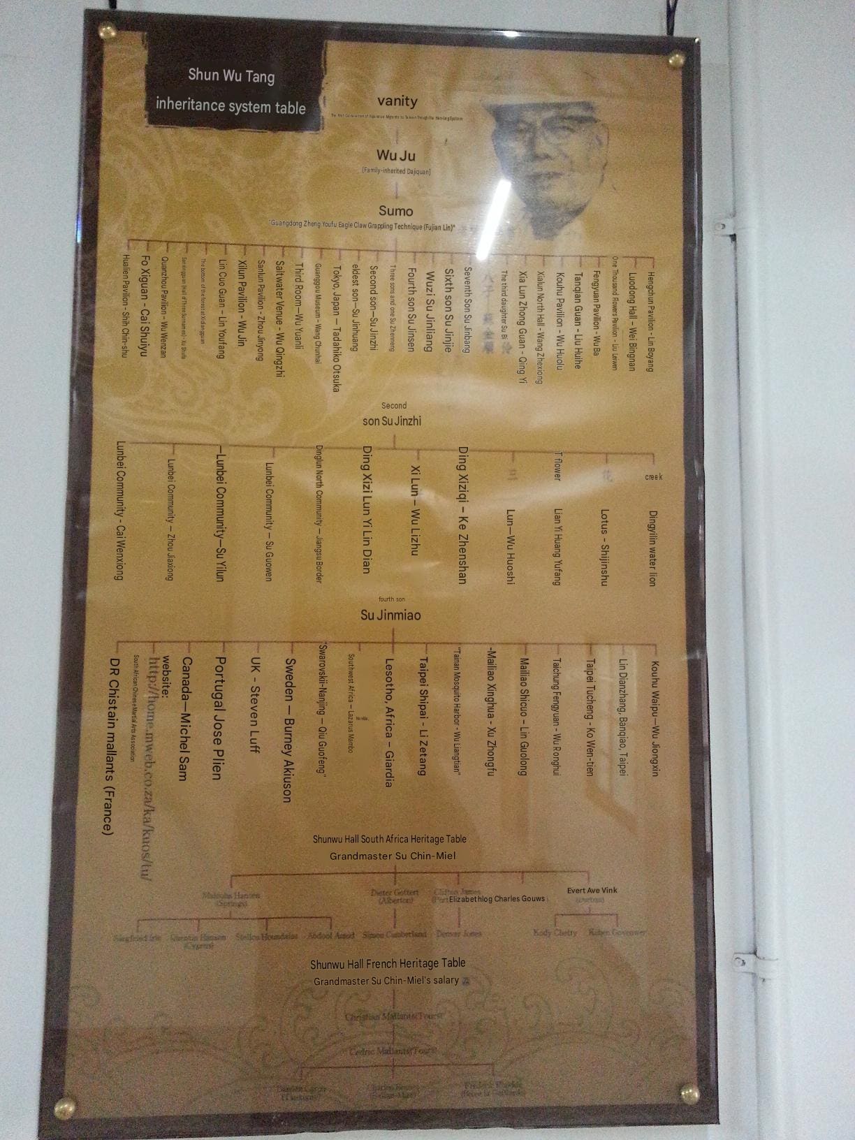 SWT Inheritance system